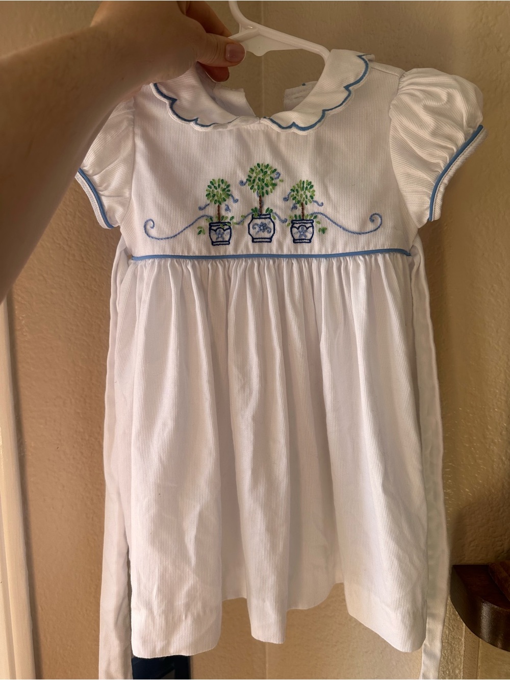 Little English White Girls' Embroidered Dress with Blue Trim plants flowers